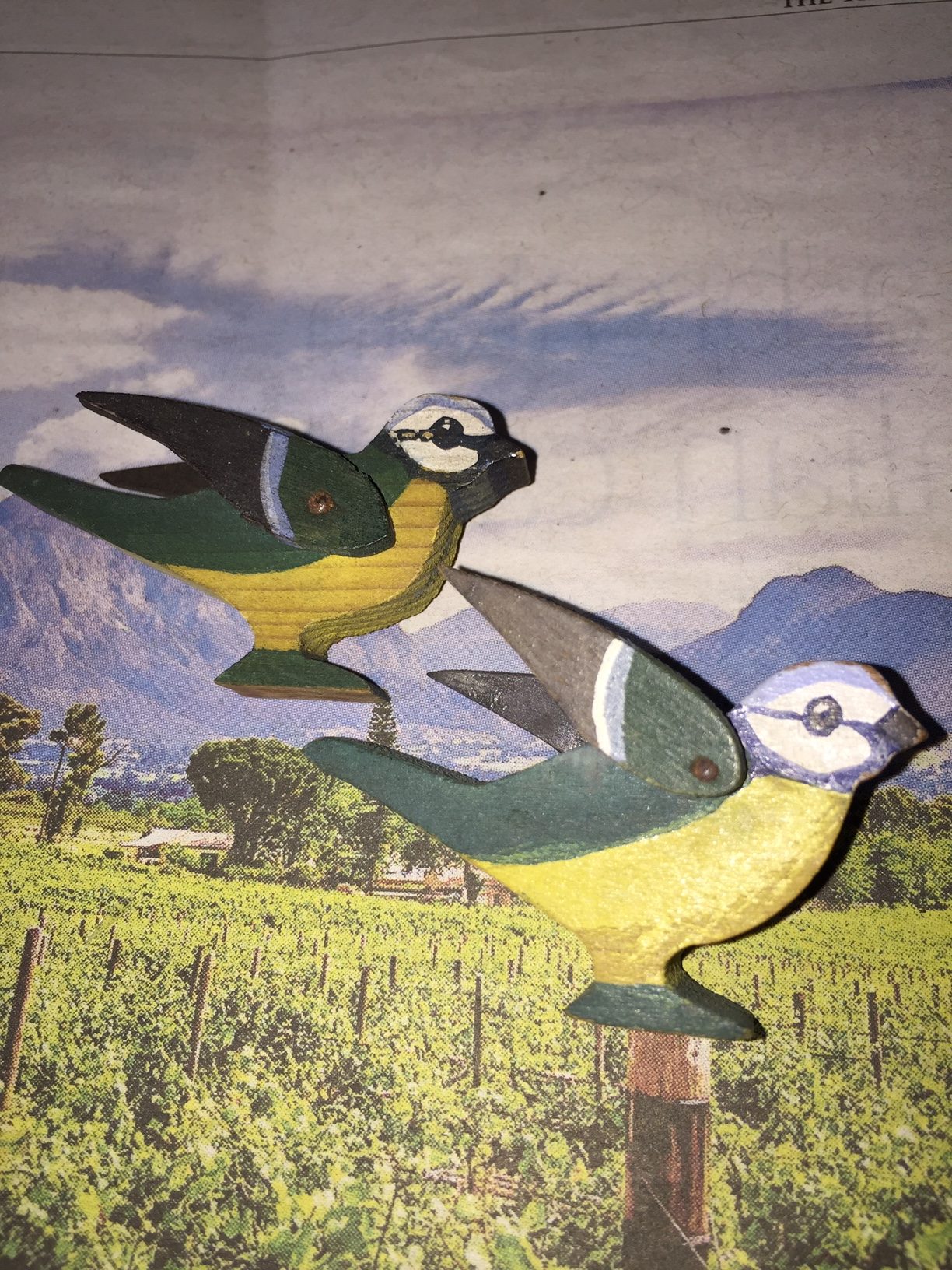 POMONA BIRDS Rockford Toys